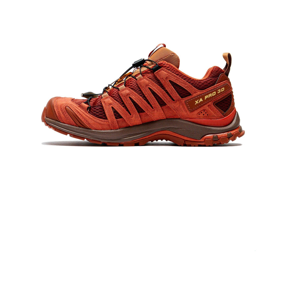 Salomon XA Pro 3D Red Ashes Pecan Brown Chili Men's Running Shoes L47968400