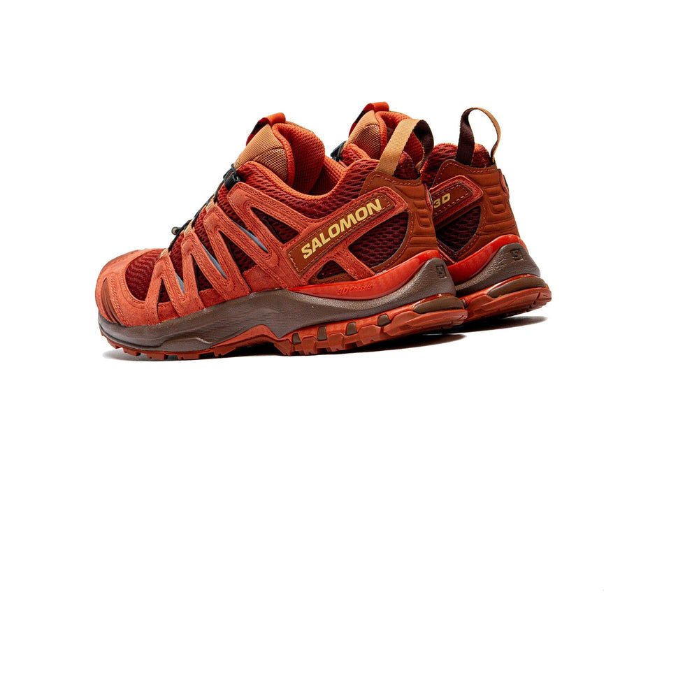 Salomon XA Pro 3D Red Ashes Pecan Brown Chili Men's Running Shoes L47968400